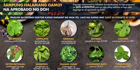Mga Halamang Gamot .